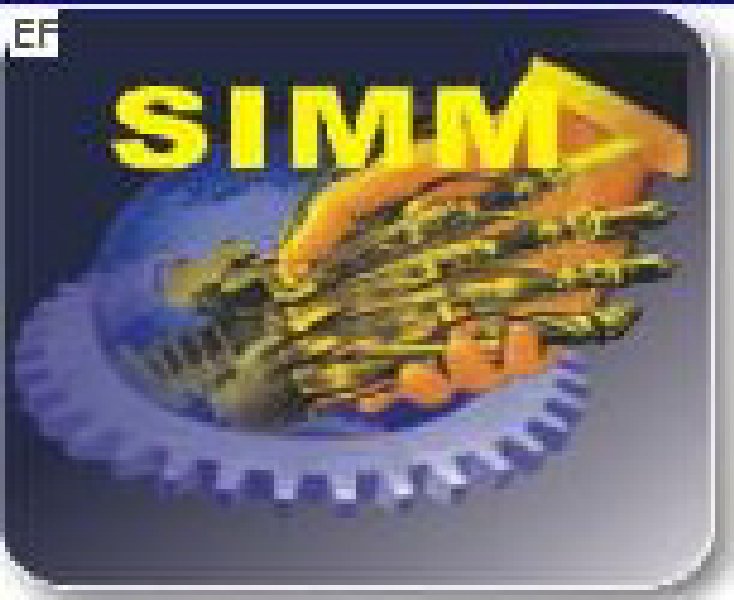 第十屆中國(深圳)國際機械制造工業展覽會(SIMM2009)